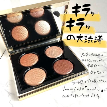 リュクス トゥ トラベル アイシャドウ パレット/BOBBI BROWN/パウダーアイシャドウを使ったクチコミ（1枚目）