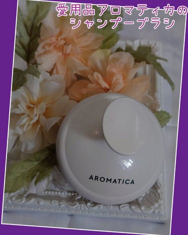 AROMATICA スカルプケア シャンプーブラシ