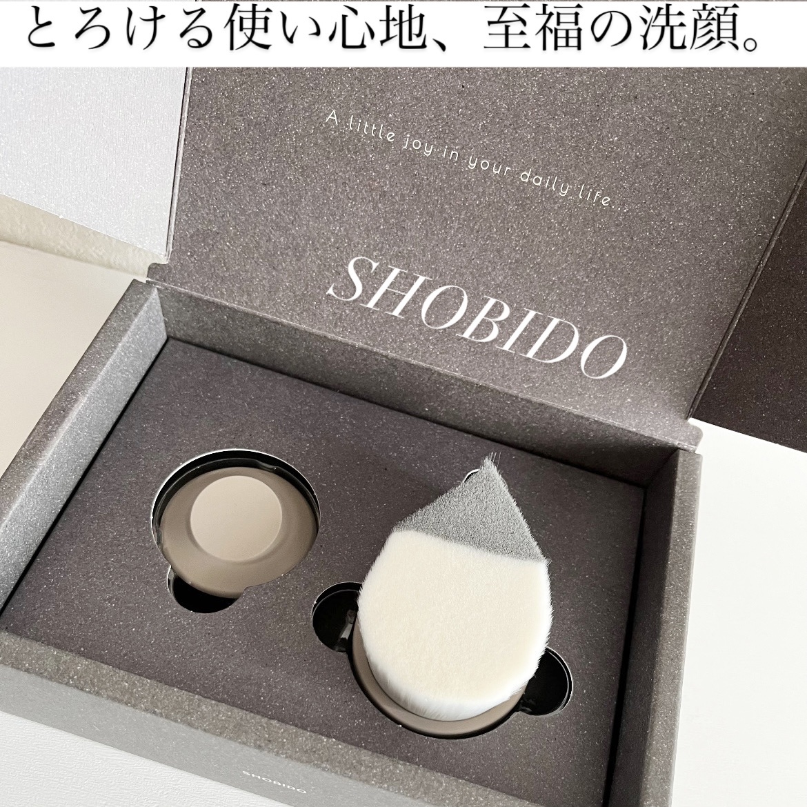 リッチホイップブラシSHINKA(シンカ)/SHOBIDO/その他スキンケアグッズを使ったクチコミ（1枚目）