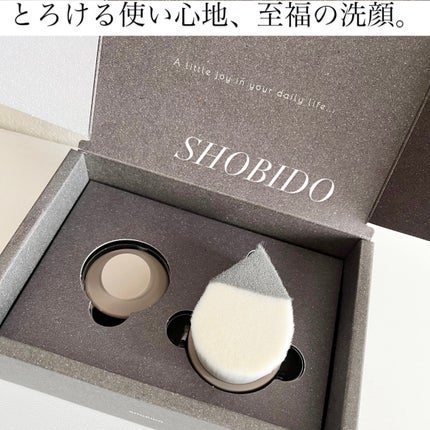 リッチホイップブラシSHINKA(シンカ)/SHOBIDO/その他スキンケアグッズを使ったクチコミ(1枚目)