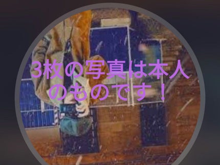 オイルインシャンプー/オイルインコンディショナー(スムース&リペア) シャンプー 500g/ディアボーテ/市販シャンプーの画像