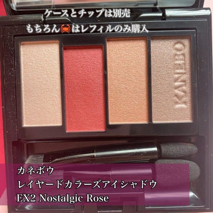 レイヤードカラーズアイシャドウ/KANEBO/アイシャドウパレットを使ったクチコミ(2枚目)