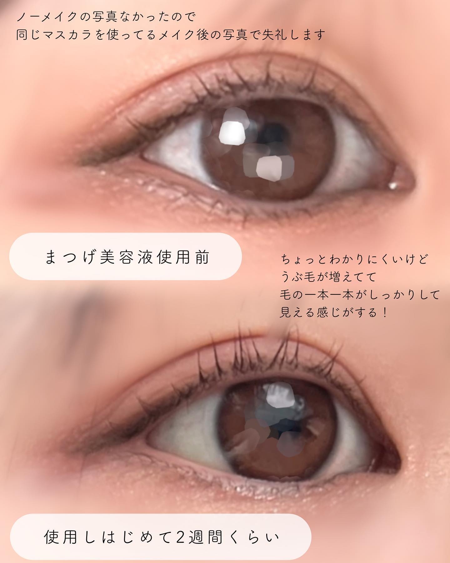 ロングアクティブアイラッシュセラム/COSNORI/まつげ美容液を使ったクチコミ（3枚目）