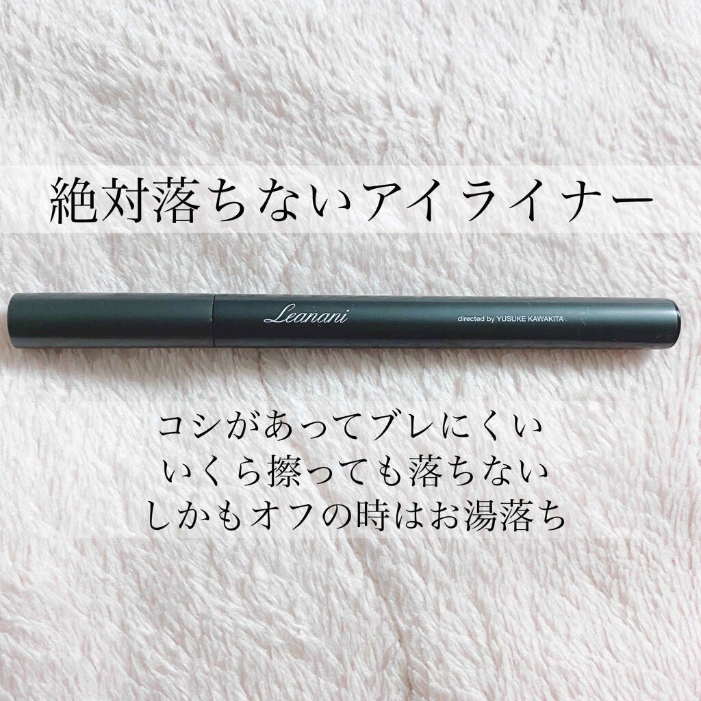 レアナニプレミアムリキッドアイライナーS/Leanani/リキッドアイライナーを使ったクチコミ(1枚目)