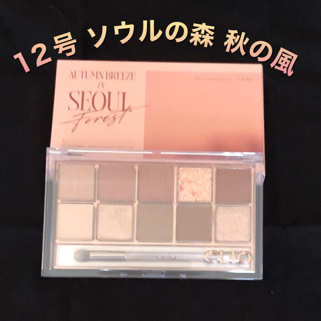 プロ アイ パレット/CLIO/アイシャドウパレットを使ったクチコミ(1枚目)