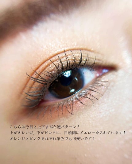 アイ & チーク コンパクトアディクション “ストーリー オブ ライフ”/ADDICTION/アイシャドウパレットを使ったクチコミ(5枚目)