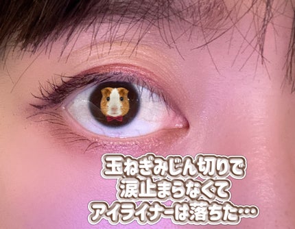 「塗るつけまつげ」自まつげ際立てタイプ/デジャヴュ/マスカラを使ったクチコミ(4枚目)