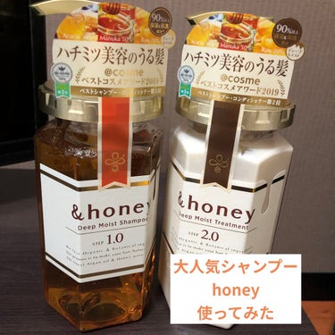 ディープモイスト シャンプー1.0／ヘアトリートメント2.0/&honey/シャンプー・コンディショナーを使ったクチコミ（1枚目）