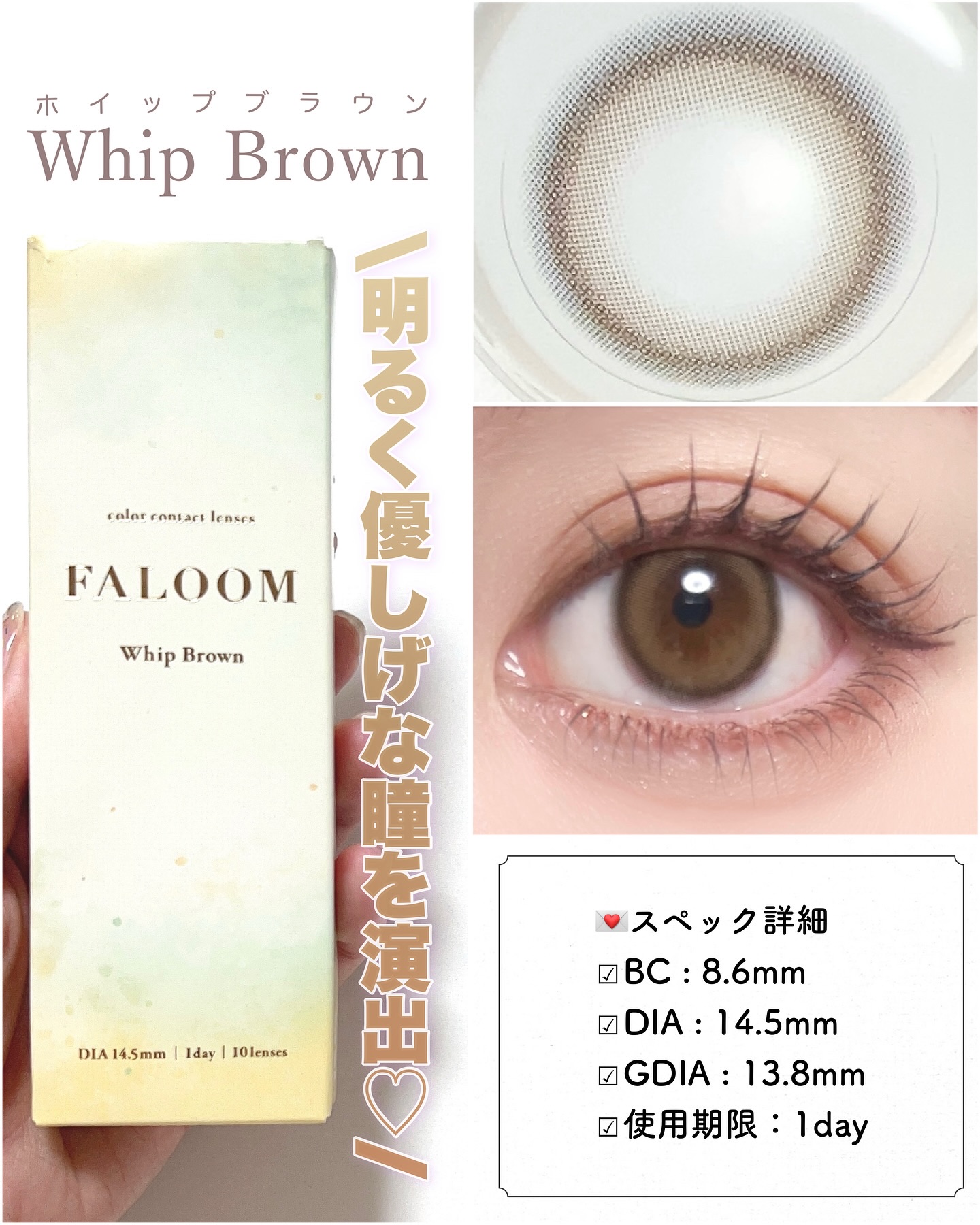 FALOOM 1DAY ホイップブラウン/FALOOM/ワンデー（１DAY）カラコンを使ったクチコミ（1枚目）