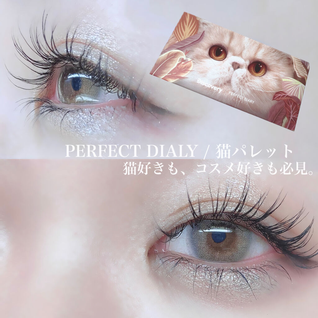 エクスプローラ12色 動物アイシャドウパレット/PERFECT DIARY/アイシャドウパレットを使ったクチコミ（1枚目）