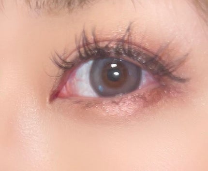 Angelcolor Bambi Series 1day /AngelColor/ワンデー(1DAY)カラコンを使ったクチコミ(4枚目)