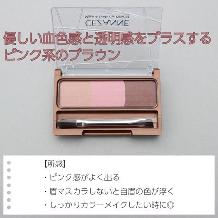 ノーズ&アイブロウパウダー/CEZANNE/パウダーアイブロウを使ったクチコミ(3枚目)