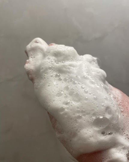 パーフェクトホワイトクレイ/SENKA(専科)/洗顔フォームを使ったクチコミ(3枚目)