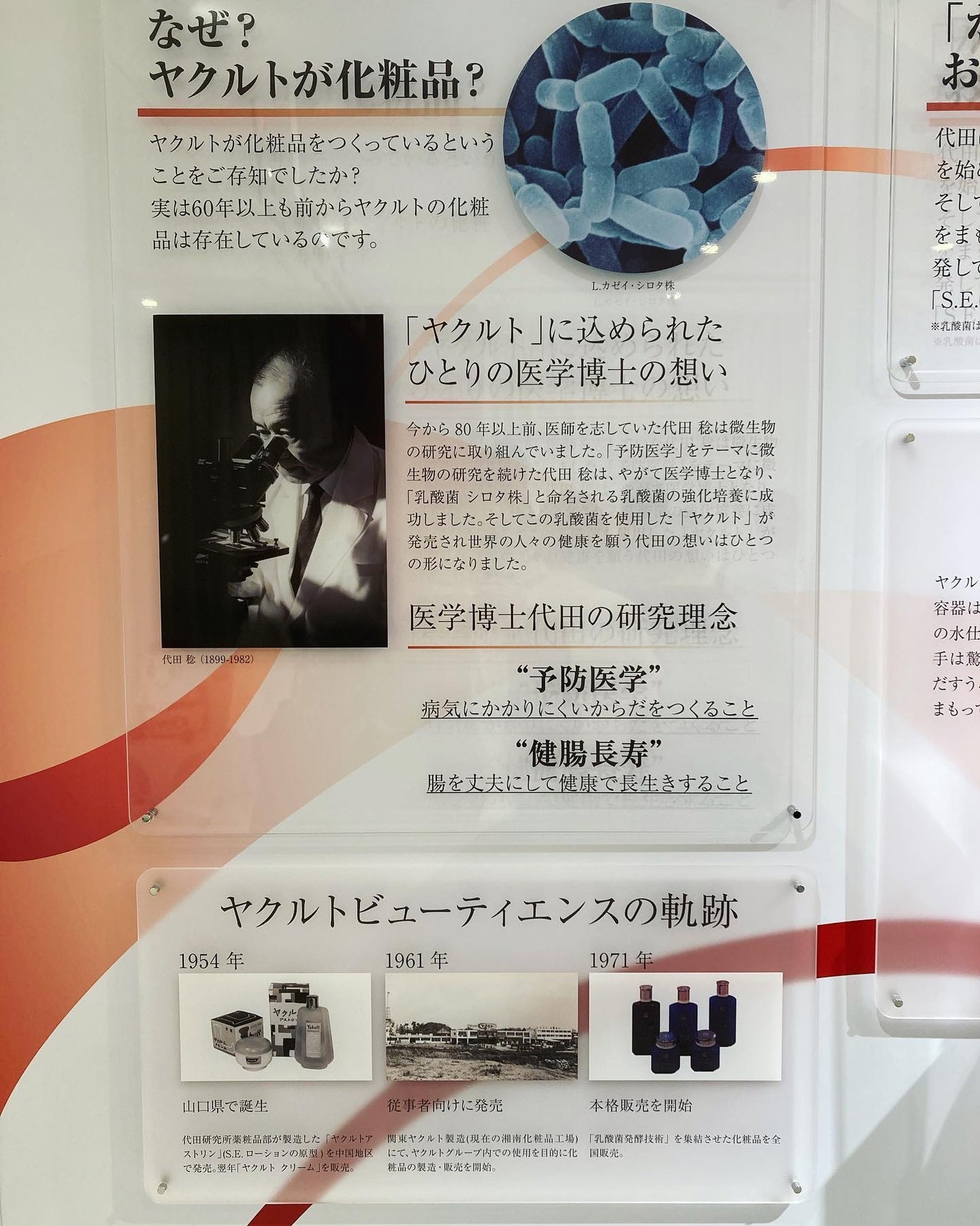 Yakult(ヤクルト)1000/ヤクルト/乳酸菌飲料を使ったクチコミ(10枚目)