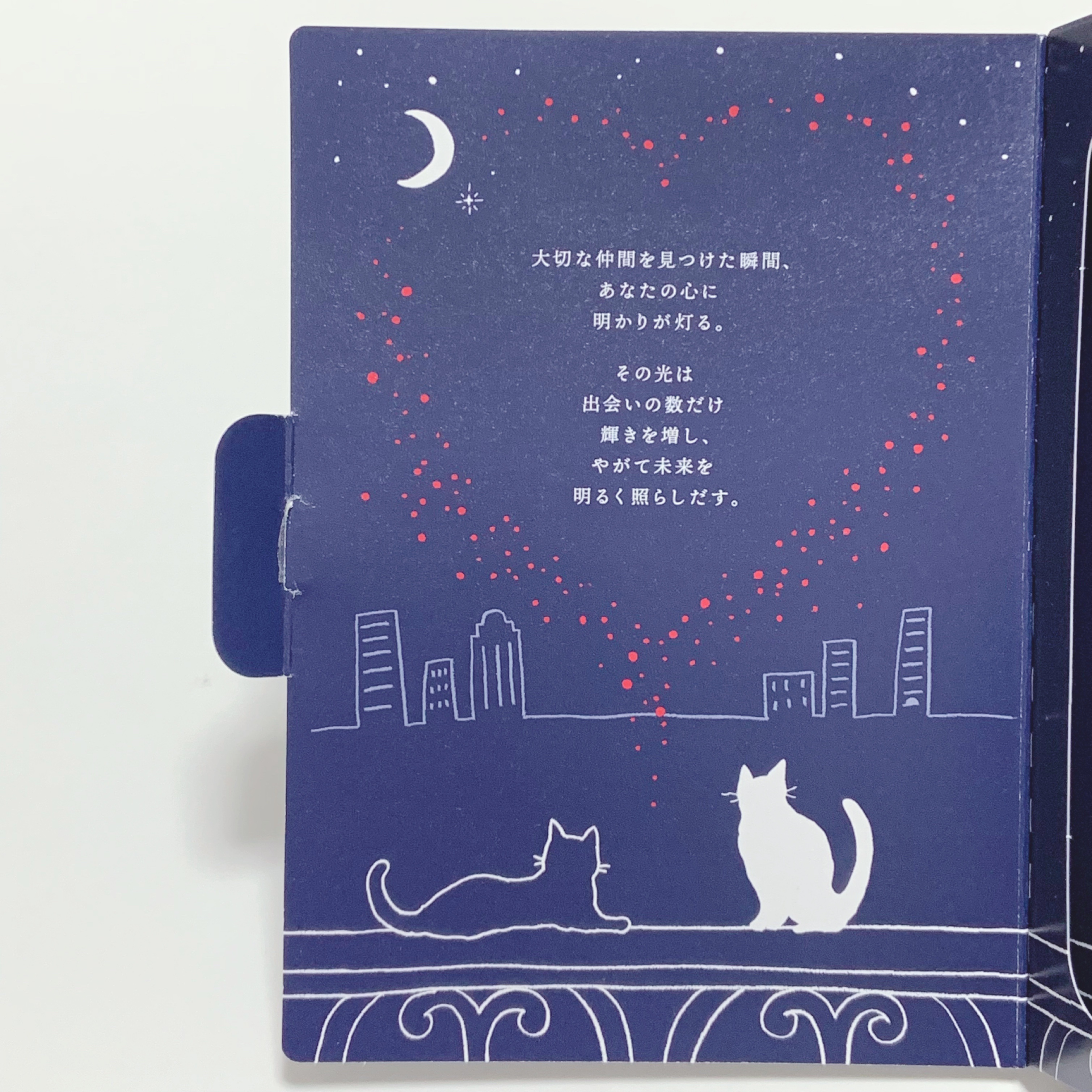 ハンド&リップ セラム セット/ALBLANC/その他キットセットを使ったクチコミ（3枚目）