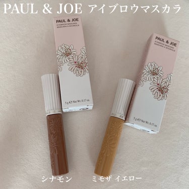 アイブロウ マスカラ/PAUL & JOE BEAUTE/眉マスカラを使ったクチコミ（1枚目）