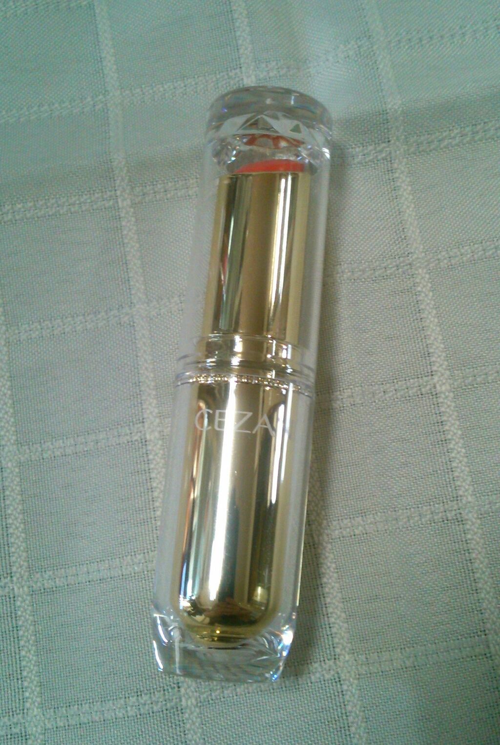 ラスティンググロスリップ/CEZANNE/口紅を使ったクチコミ(1枚目)