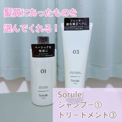 モイストソフナー 01ベーシックスカルプ/Sorule/市販シャンプーを使ったクチコミ(1枚目)