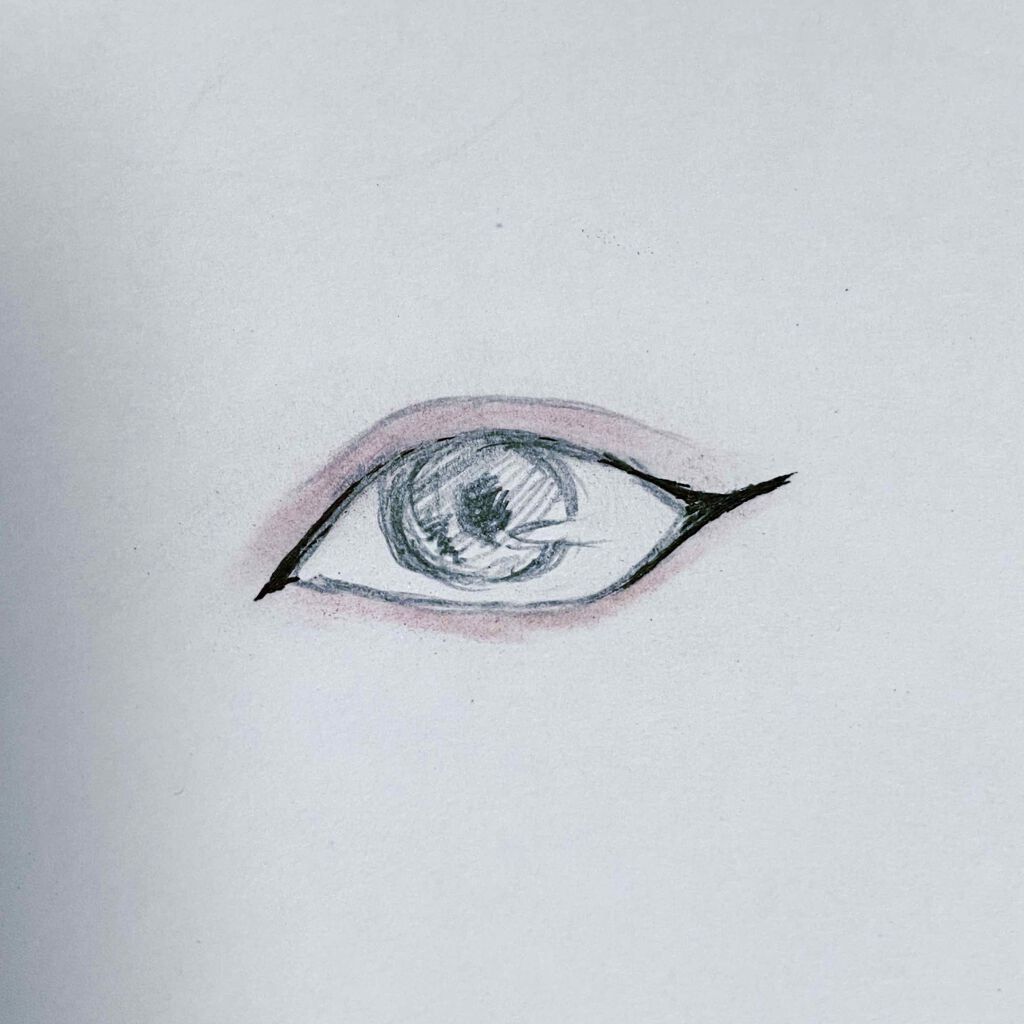 【旧品】パーフェクトスタイリストアイズ/キャンメイク/アイシャドウパレットを使ったクチコミ（3枚目）