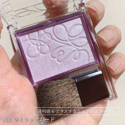 パールグロウニュアンサー/CEZANNE/パウダーハイライトを使ったクチコミ(4枚目)