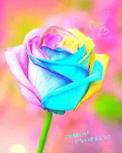 ã䜿ã£ãã¯ãã³ãïŒ1æç®ïŒ