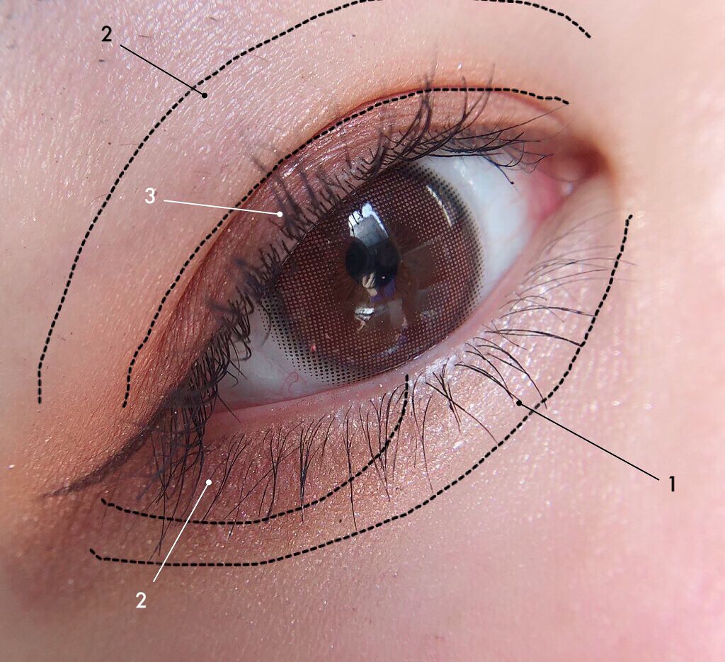 トーンアップアイシャドウ/CEZANNE/アイシャドウパレットを使ったクチコミ(2枚目)