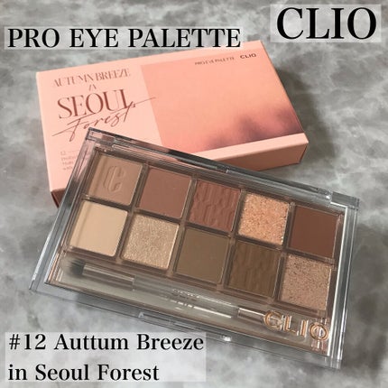 プロ アイ パレット/CLIO/アイシャドウパレットを使ったクチコミ(2枚目)