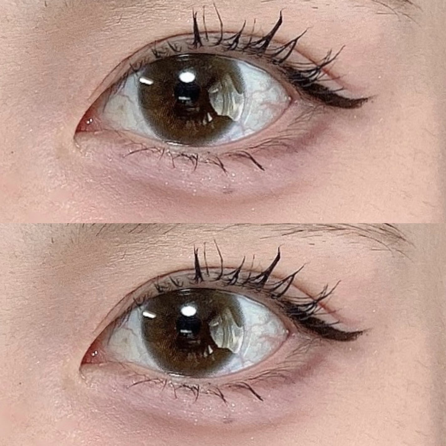 カラーミキシングコンシーラー/キャンメイク/パレットコンシーラーを使ったクチコミ(5枚目)