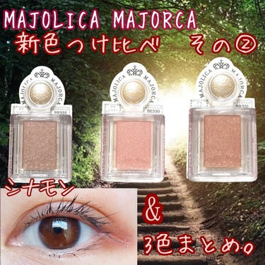 シャドーカスタマイズ/MAJOLICA MAJORCA/パウダーアイシャドウを使ったクチコミ（1枚目）