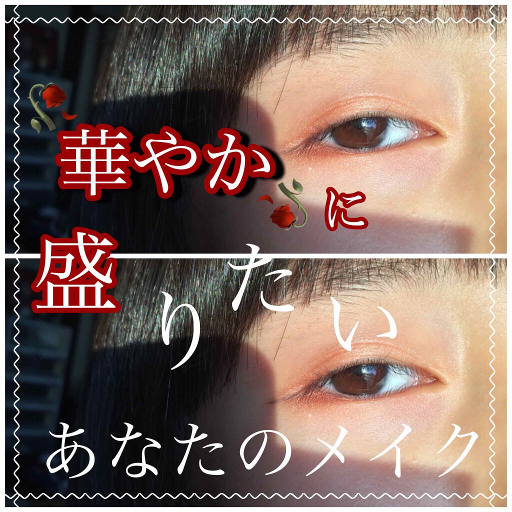 【旧品】パーフェクトスタイリストアイズ/キャンメイク/アイシャドウパレットを使ったクチコミ(1枚目)