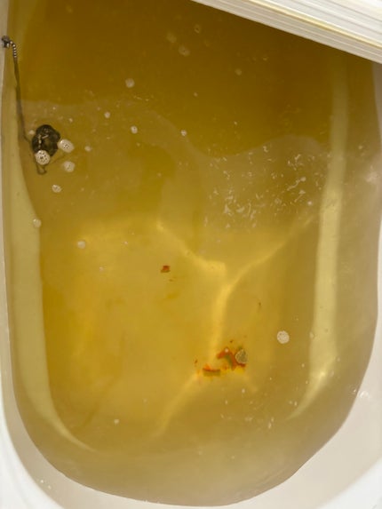 レインボウ/ラッシュ/炭酸系入浴剤を使ったクチコミ(5枚目)