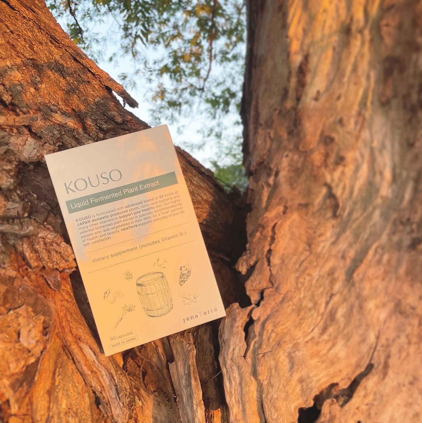 nagomi KOUSO 30粒/renaTerra/健康サプリメントを使ったクチコミ（1枚目）