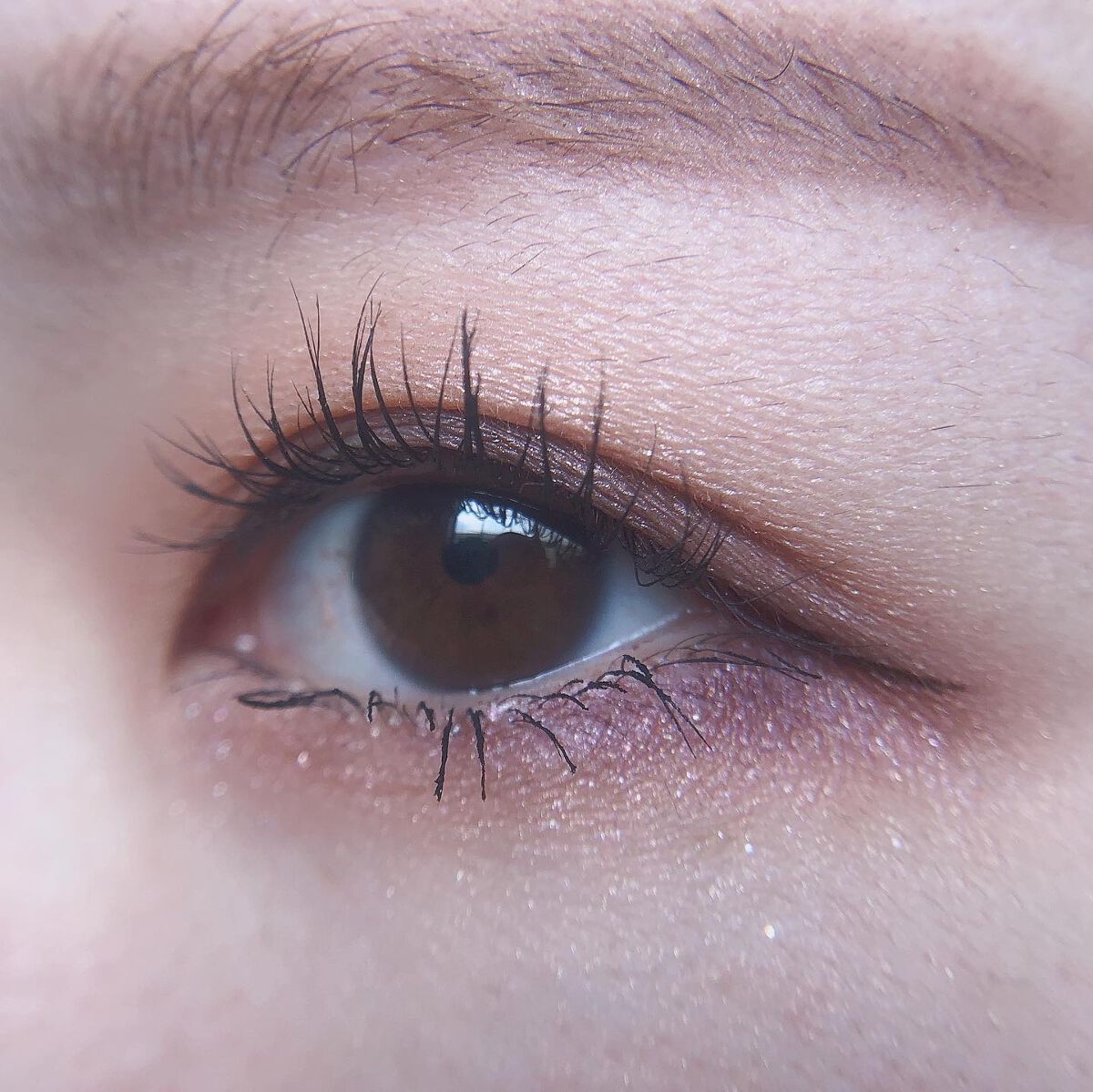 あゆみ on LIPS 「・\#todaysmake/・アイシャドウ☑@cledepea..」(3枚目)