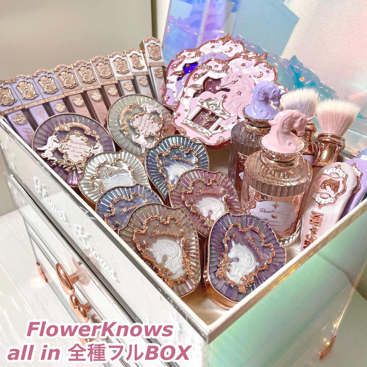 FlowerKnowsチョコレートシリーズ ALL in 全種フルボックス-