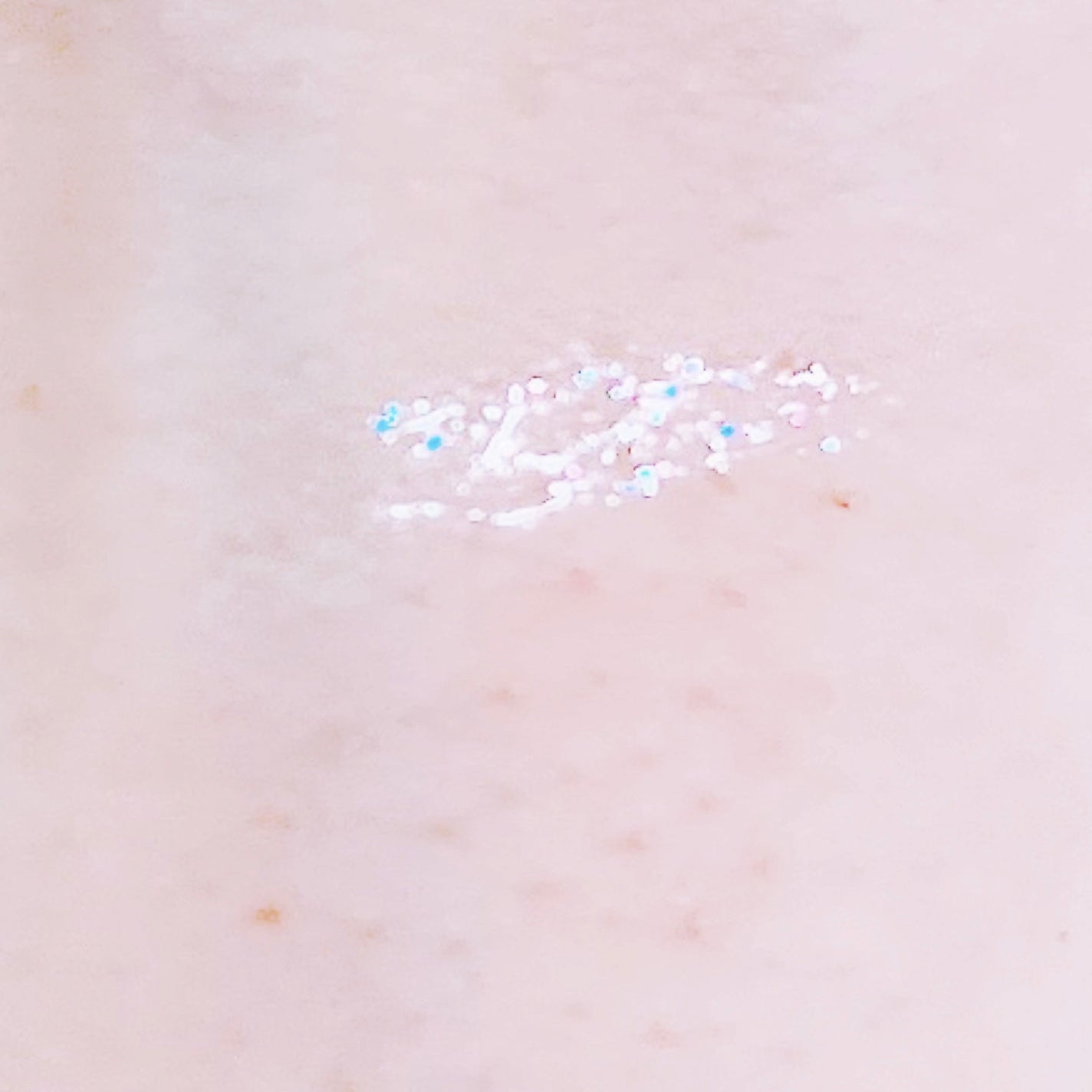 グロウリキッドライナー/CEZANNE/リキッドアイライナーを使ったクチコミ(3枚目)