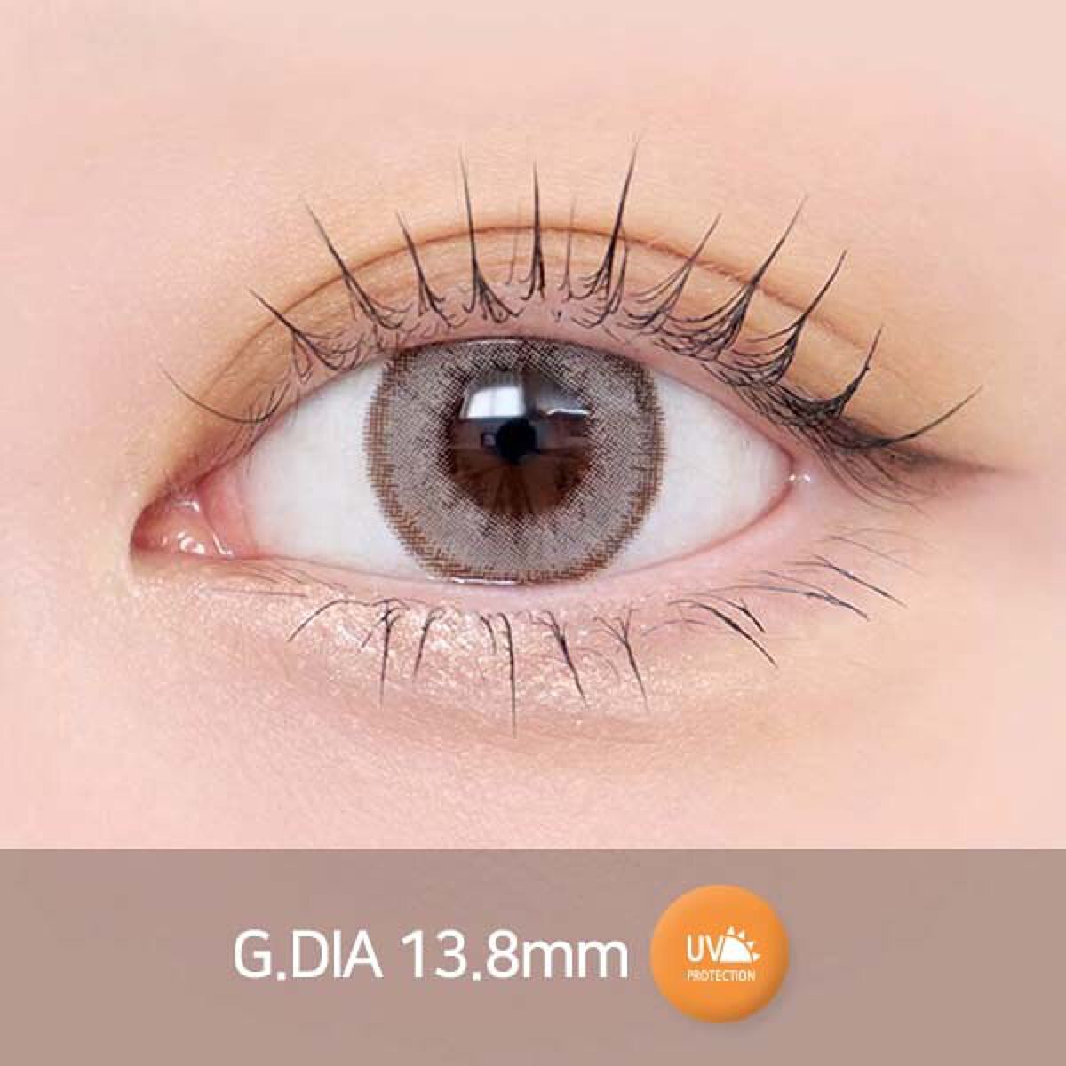 ウィサムチョコ