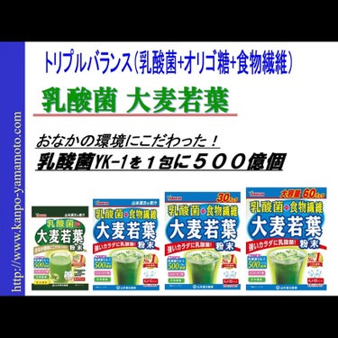 乳酸菌プラス 大麦若葉 粉末/山本漢方製薬/ドリンクを使ったクチコミ（3枚目）