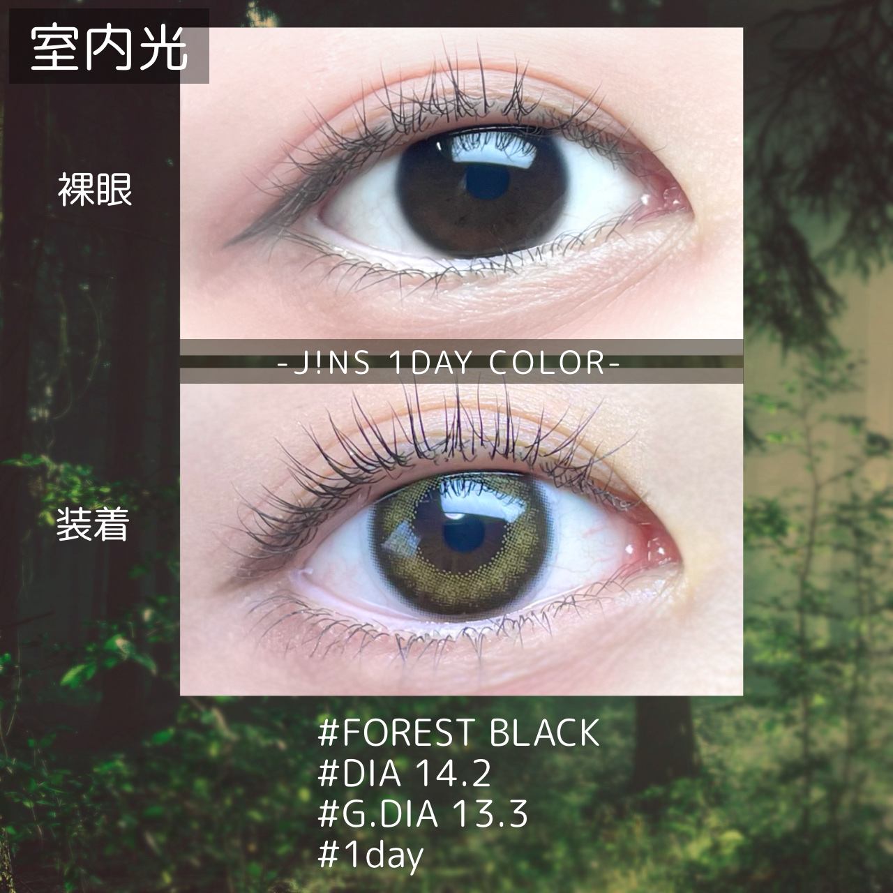 JINS1DAYCOLOR/JINS/ワンデー（１DAY）カラコンを使ったクチコミ（2枚目）