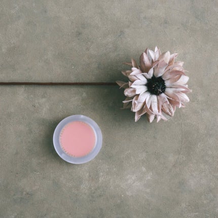 ワイナリーチークトリップ/FAUX PAS PARIS/パウダーチークを使ったクチコミ(2枚目)