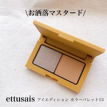 アイエディション(カラーパレット)/ettusais/パウダーアイシャドウを使ったクチコミ（1枚目）