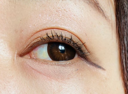 ムードキーボード/lilybyred/アイシャドウパレットを使ったクチコミ(4枚目)