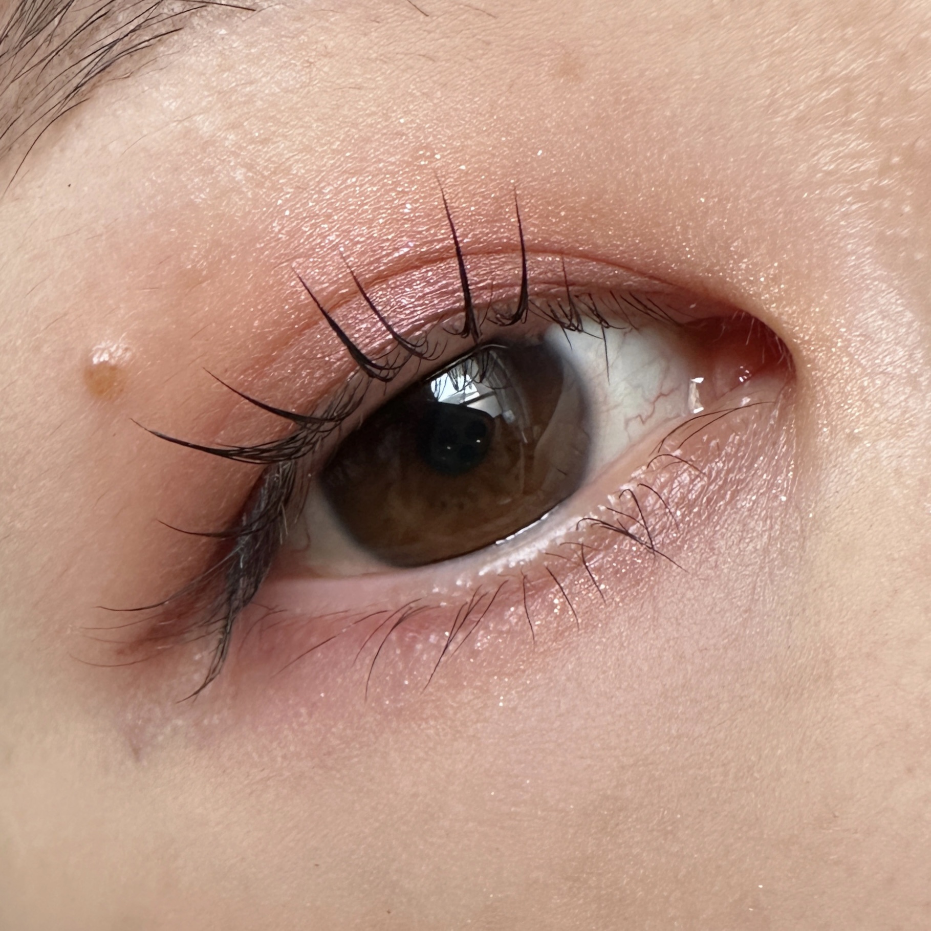 クリーミータッチライナー/キャンメイク/ジェルアイライナーを使ったクチコミ（2枚目）