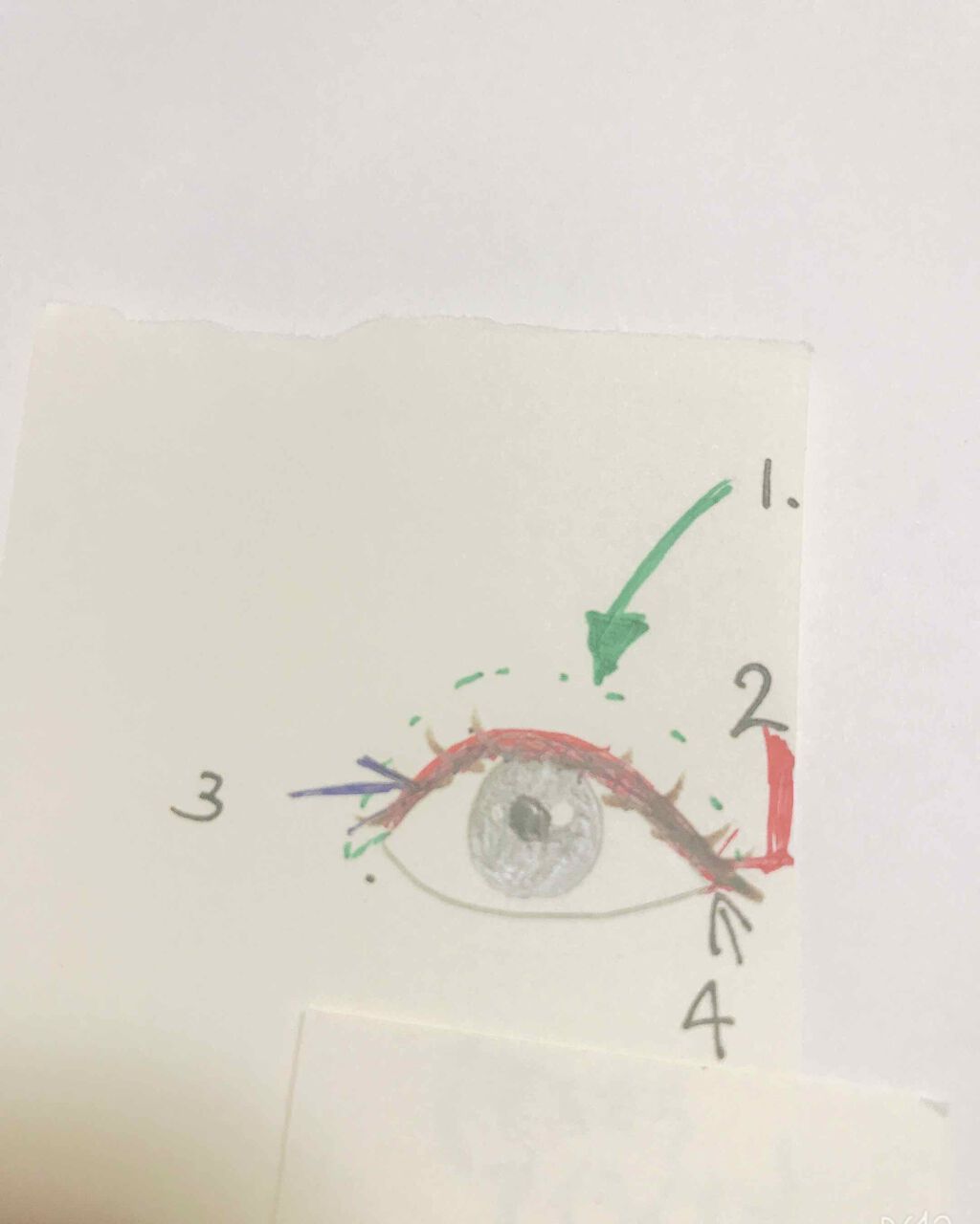 バナナ on LIPS 「初メイク投稿!🙆目を撮ろうとしたのですが上手く撮れないので書き..」(2枚目)