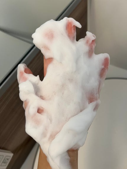 クリアファイン ポアウォッシュパウダー/PLuS/洗顔パウダーを使ったクチコミ(9枚目)