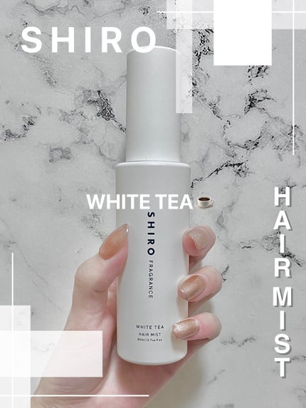SHIRO ホワイトティー ヘアミストのクチコミ「今回はSHIROのヘアミストを紹介します🌼
✼••┈┈••✼••┈┈••✼••┈┈••✼•.....」(1枚目)