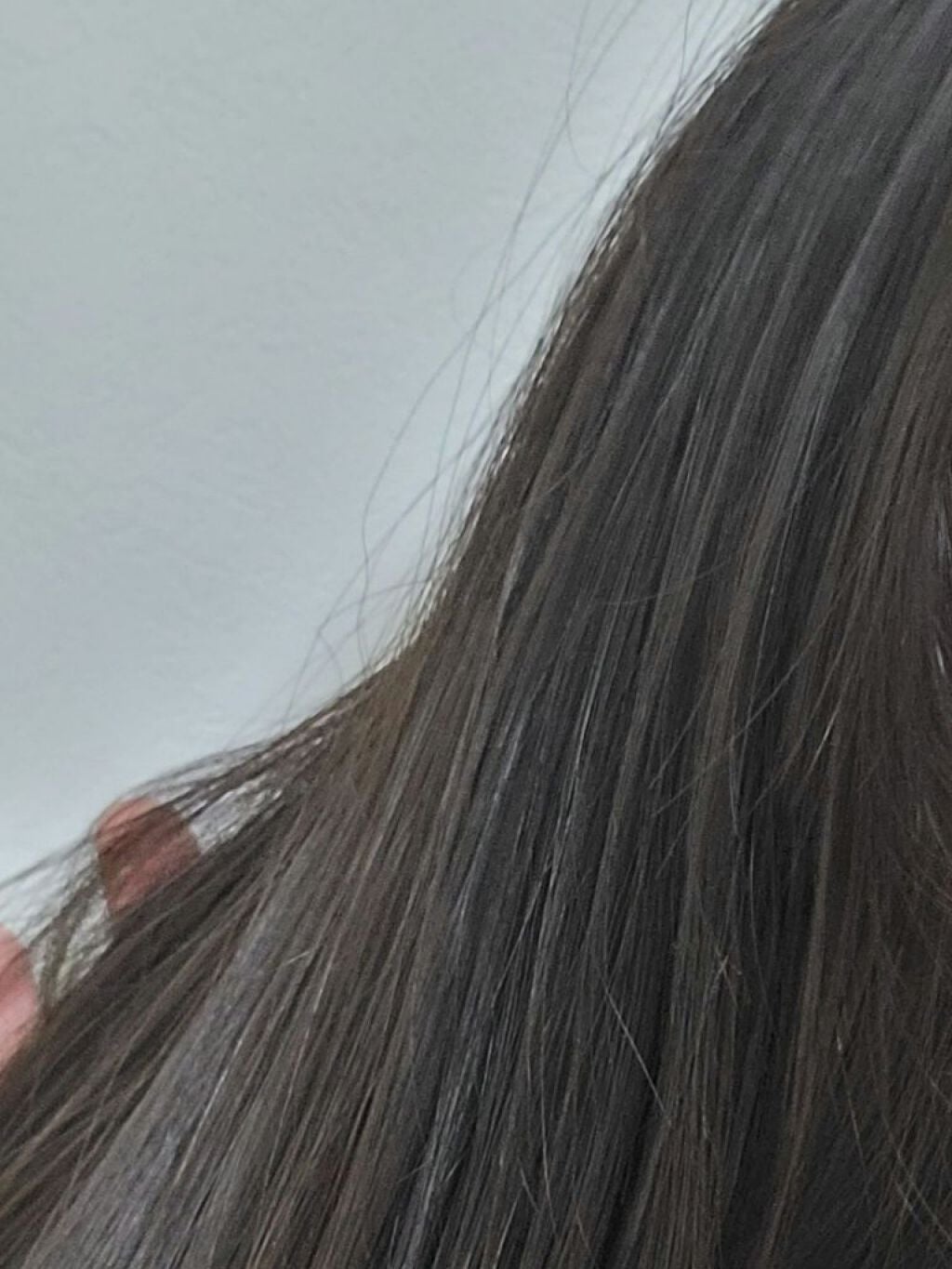 カームナイトリペアシャンプー/トリートメント/YOLU/市販シャンプーを使ったクチコミ(1枚目)