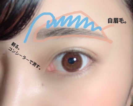 超細芯アイブロウ/CEZANNE/アイブロウペンシルを使ったクチコミ(4枚目)