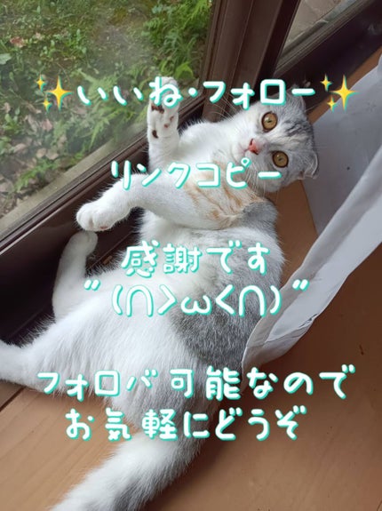 ハンドクリーム ブリティッシュローズ/THE BODY SHOP/ハンドクリームを使ったクチコミ(5枚目)