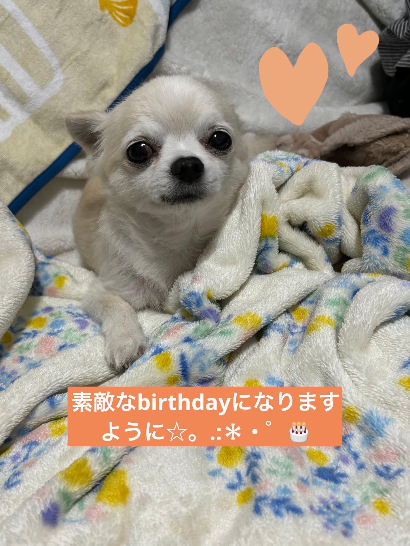 ディオール ヴェルニ/Dior/マニキュアを使ったクチコミ(6枚目)