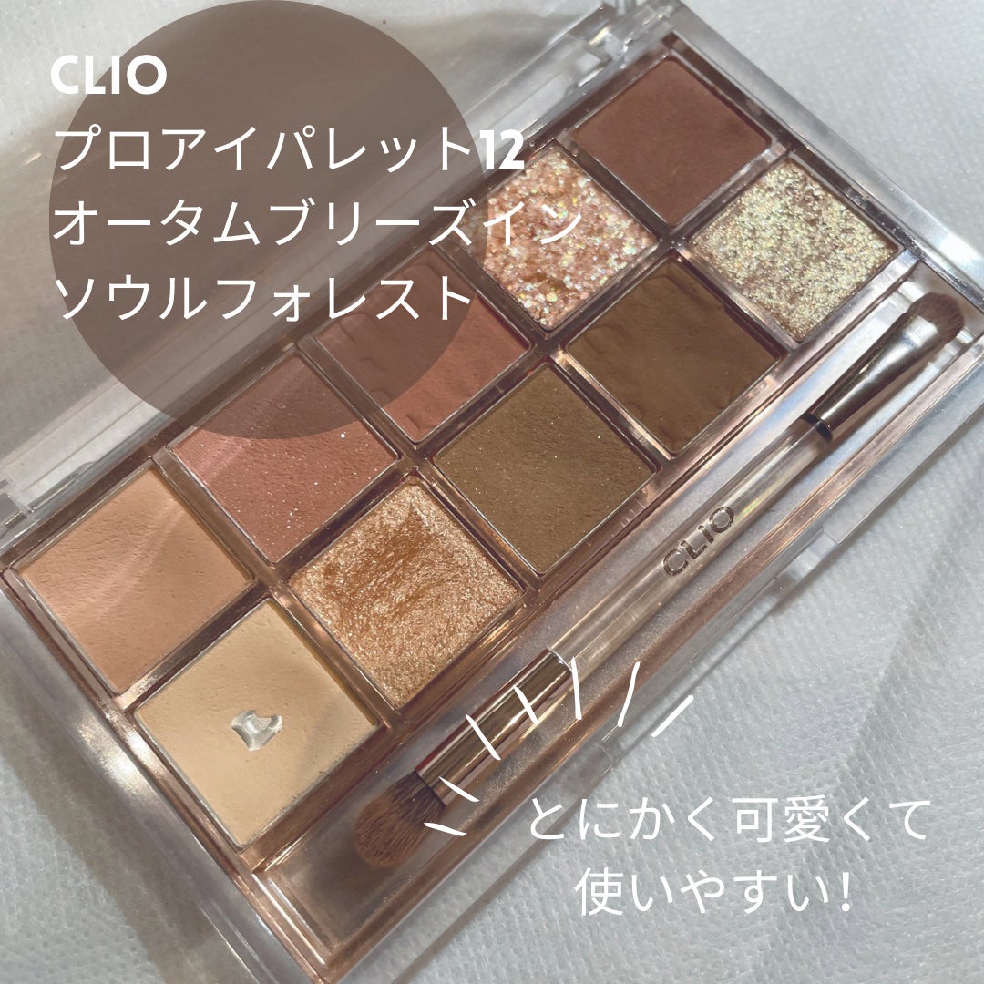 プロ アイ パレット/CLIO/アイシャドウパレットを使ったクチコミ(1枚目)